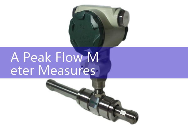 A Peak Flow Meter Measures The: Tracking respiratory data for health management.