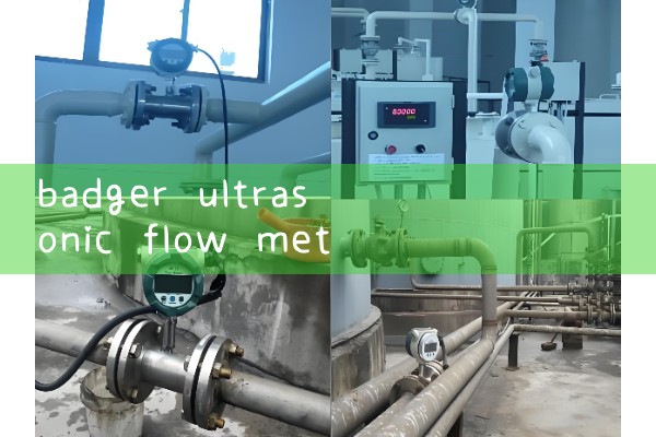 badger ultrasonic flow meter|heat flow meter
