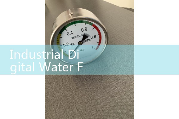 Industrial Digital Water Flow Meter: High-Accuracy Flanged Volumetric Sensors for Factory Water Systems