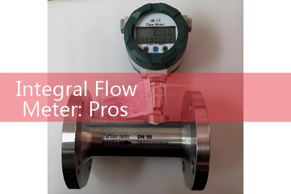 Integral Flow Meter: Pros and Cons of Combining Sensors and Transmitters in Single Enclosures