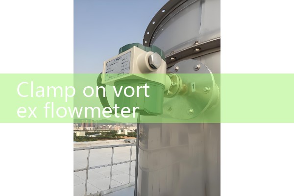 Clamp on vortex flowmeter