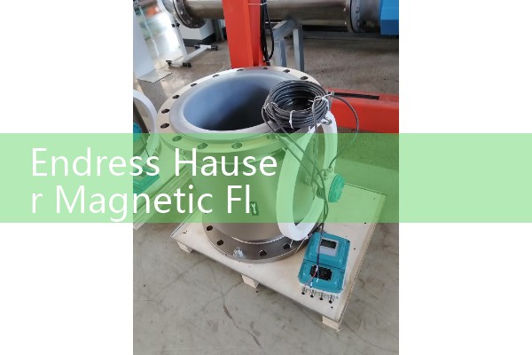 Endress Hauser Magnetic Flow Meter Manual PDF Download: Grounding and Terminal Connections