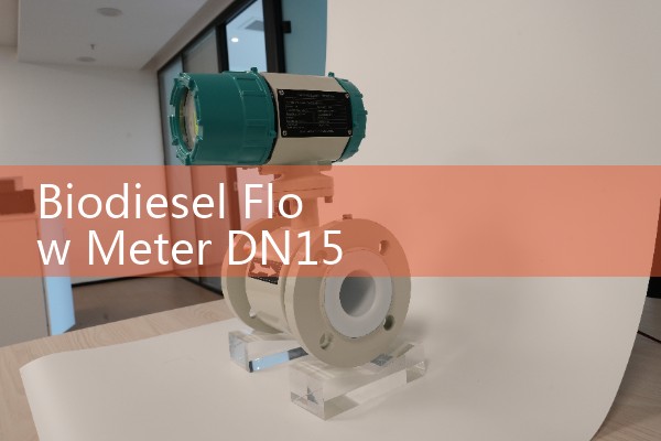 Weiliba flowmeter model