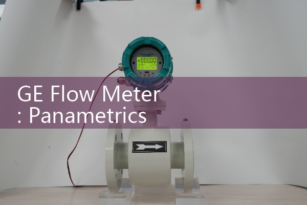 GE Flow Meter: Panametrics Ultrasonic Liquid and Gas Transit-Time Systems