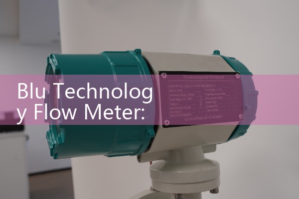 Blu Technology Flow Meter: Sourcing Inline RV Filter Water Volumetric Gauges