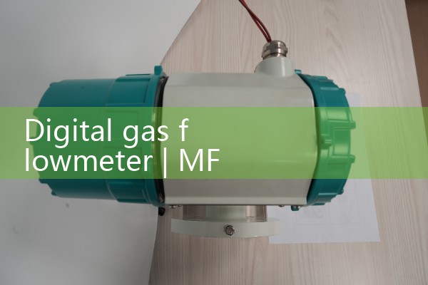 Digital gas flowmeter