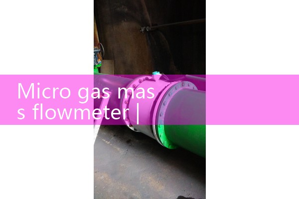 Micro gas mass flowmeter