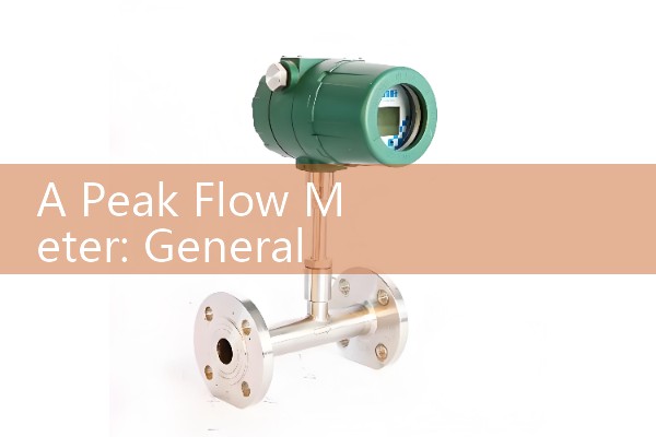 A Peak Flow Meter: General information on devices used to monitor expiratory flow.