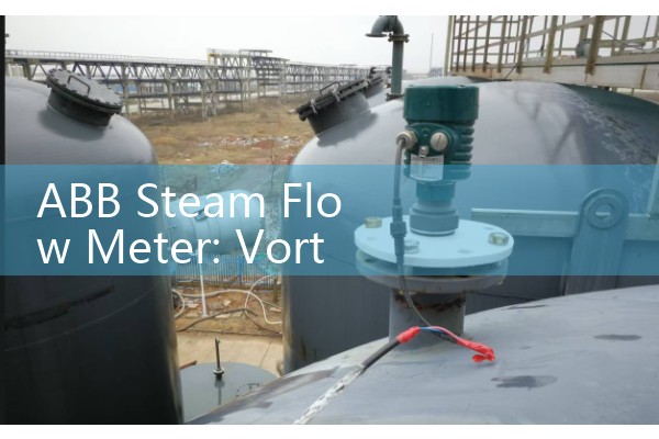 Steam specific flowmeter