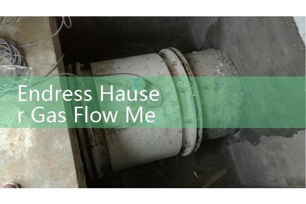 Endress Hauser Gas Flow Meter Solutions: Thermal Mass and Ultrasonic Sizing for Biogas