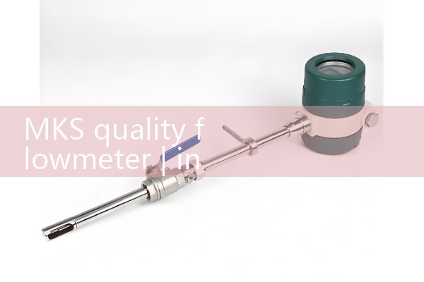 MKS Mass Flow Meter