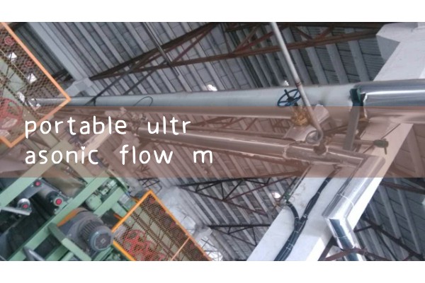 portable ultrasonic flow meter|water flow meter