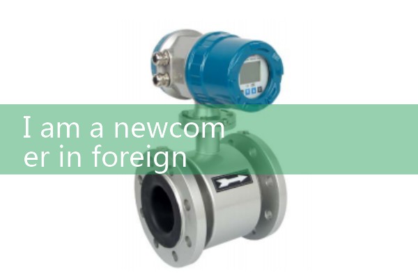 electronic flow meter|water flow meter