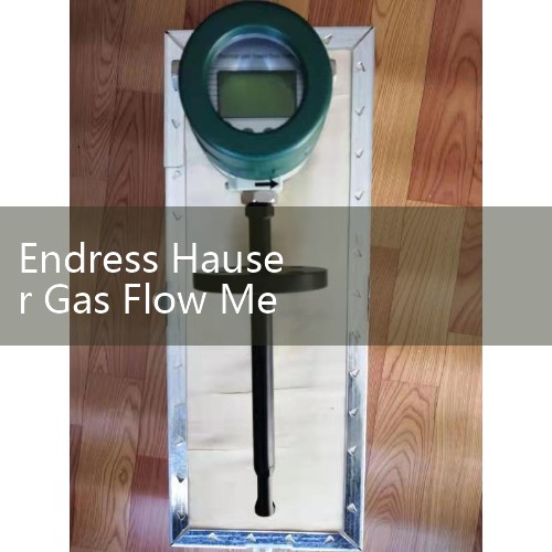 Endress Hauser Gas Flow Meter Solutions: Thermal Mass and Ultrasonic Sizing for Biogas