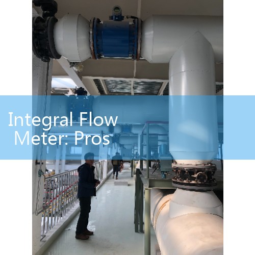 Integral Flow Meter: Pros and Cons of Combining Sensors and Transmitters in Single Enclosures