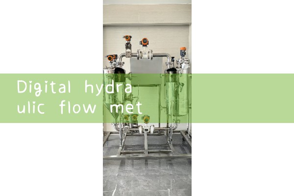 digital hydraulic flow meter|gas flow meter